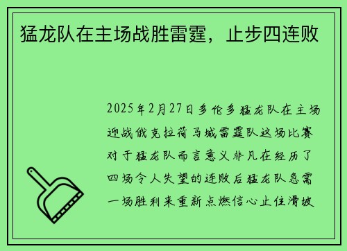 猛龙队在主场战胜雷霆，止步四连败